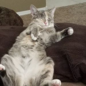 Meet your Posher, Melanie